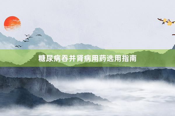 糖尿病吞并肾病用药选用指南